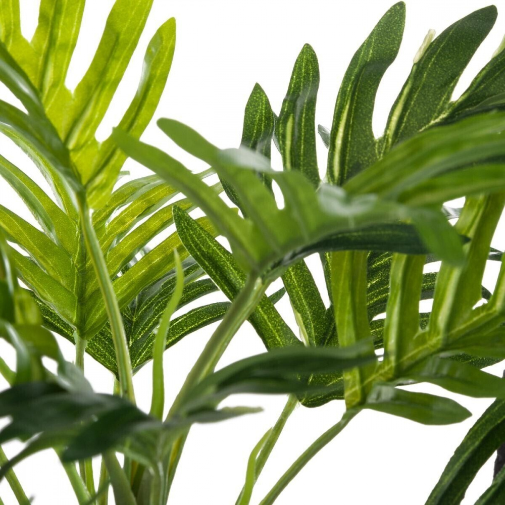 01w006027c