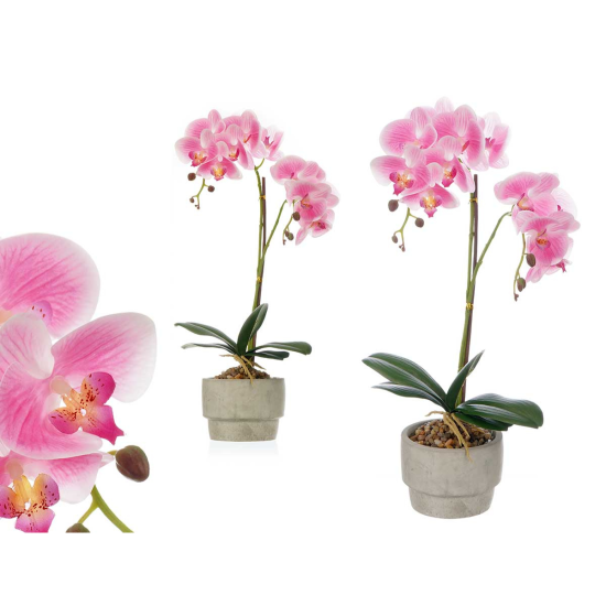 untitled_design_33